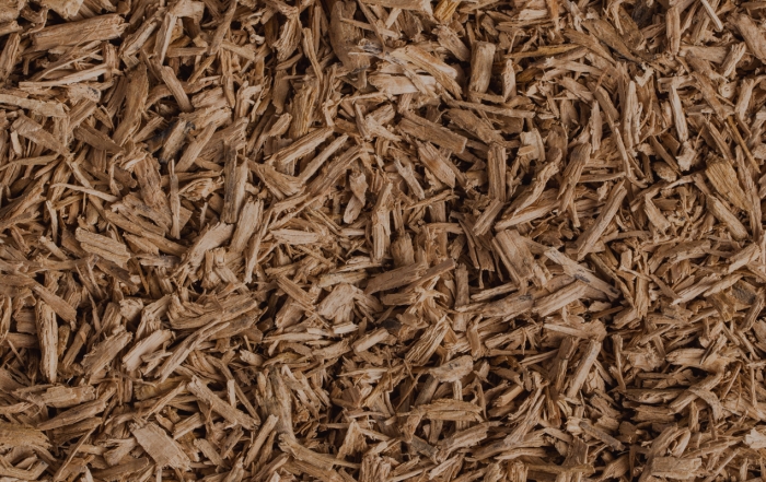 Oak Chips